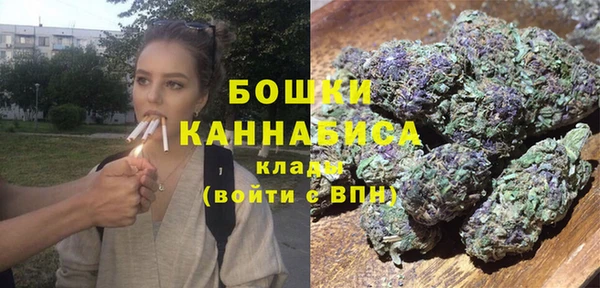 PSILOCYBIN Балахна
