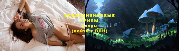 PSILOCYBIN Балахна