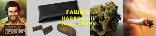 PSILOCYBIN Балахна