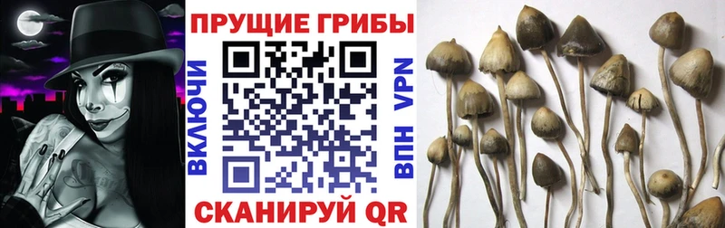 Галлюциногенные грибы мухоморы  Беслан 